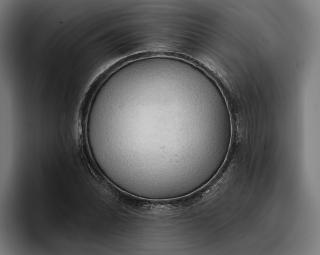 X0000096691070200802191423