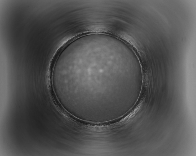 X0000096691071200802191423