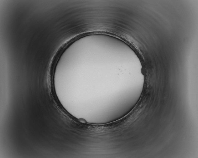 X0000096691072200802191423