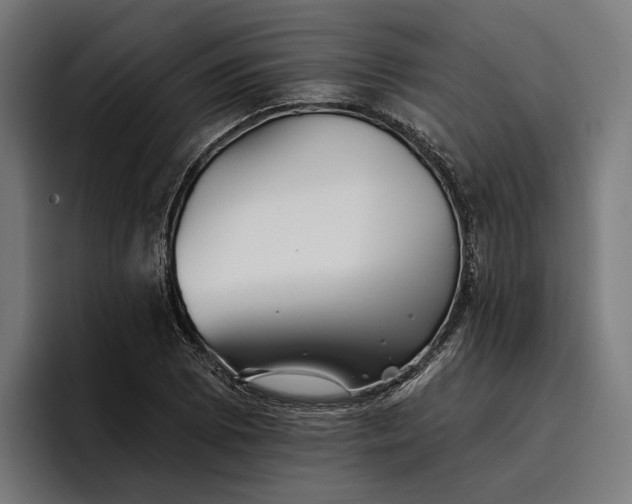 X0000096691073200802191423