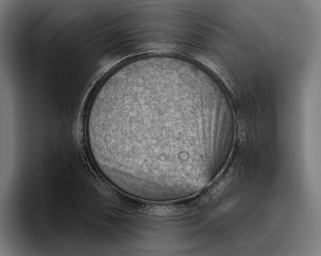 X0000096691074200802191423