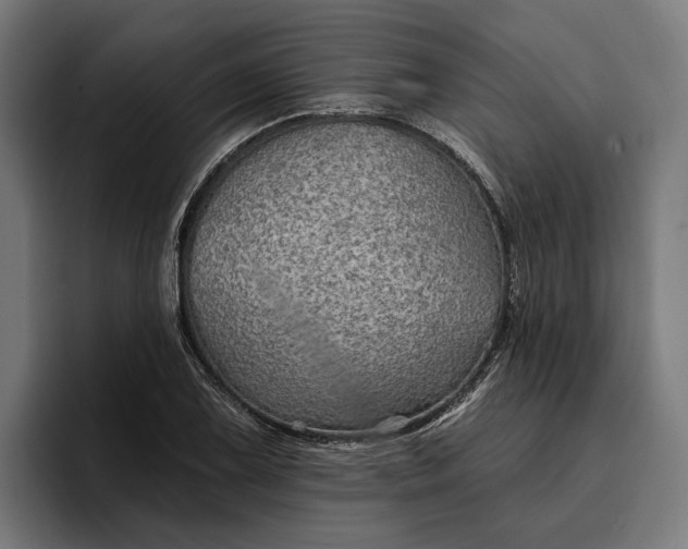 X0000096691075200802191423