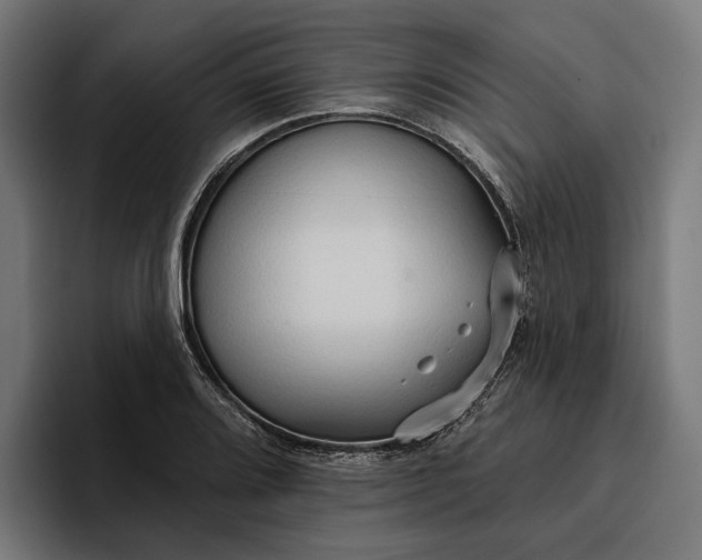 X0000096691080200802191423