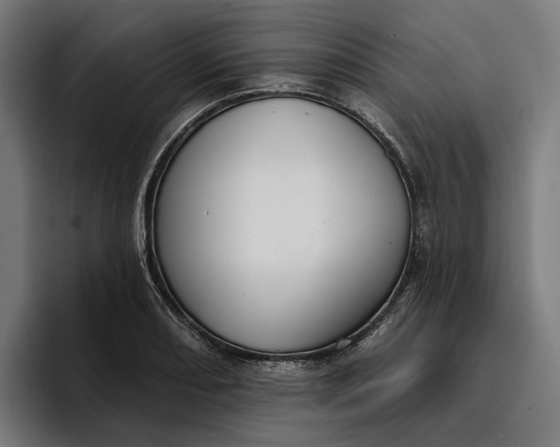 X0000096691082200802191423