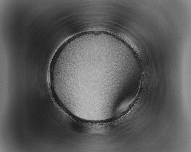 X0000096691084200802191423