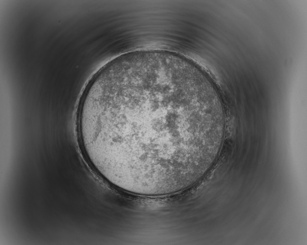 X0000096691086200802191423