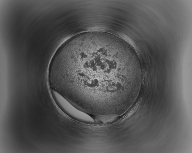 X0000096691087200802191423