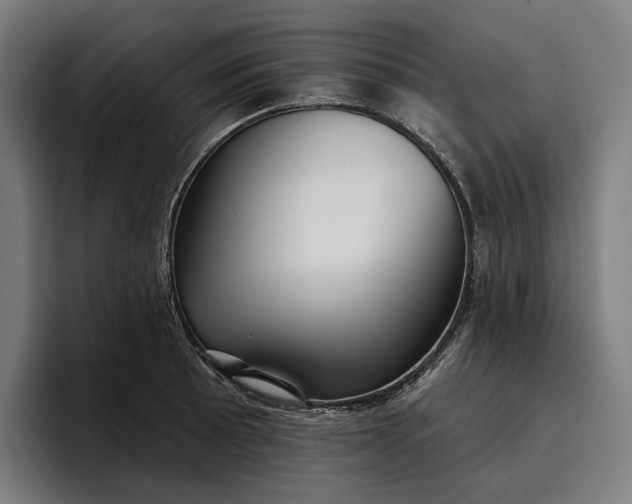 X0000096691089200802191423