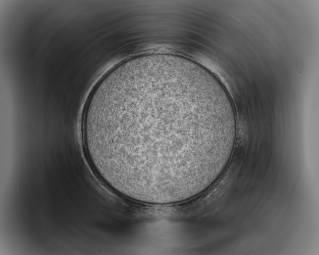 X0000096691090200802191423