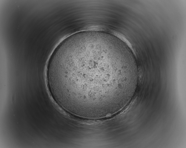 X0000096691091200802191423