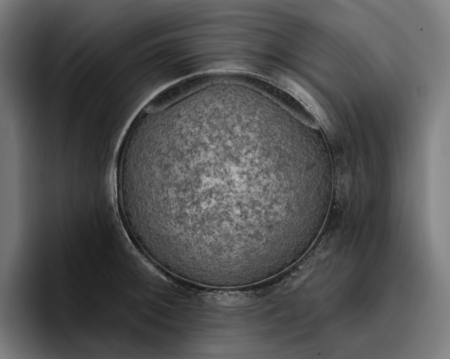 X0000096691092200802191423