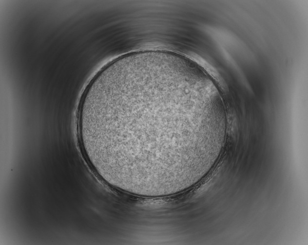 X0000096691094200802191423