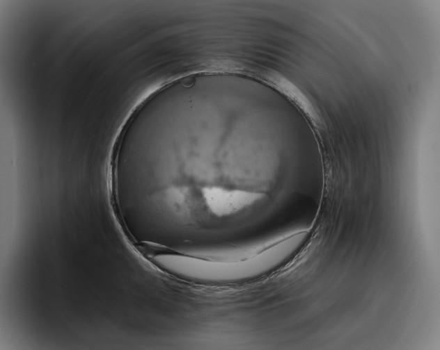 X0000096691095200802191423