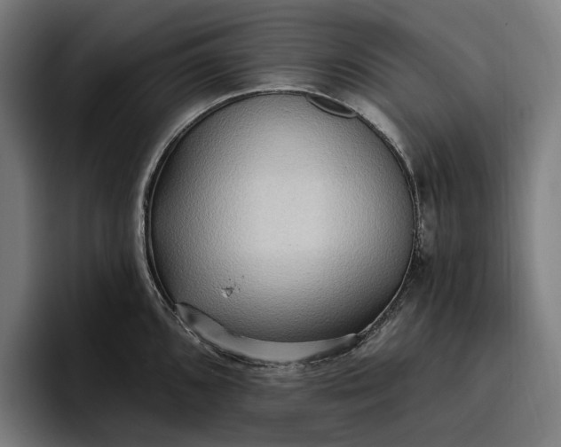 X0000096691096200802191423