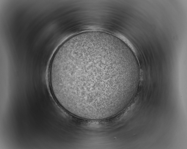 X0000096691098200802191423