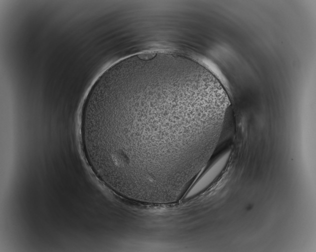 X0000096691099200802191423