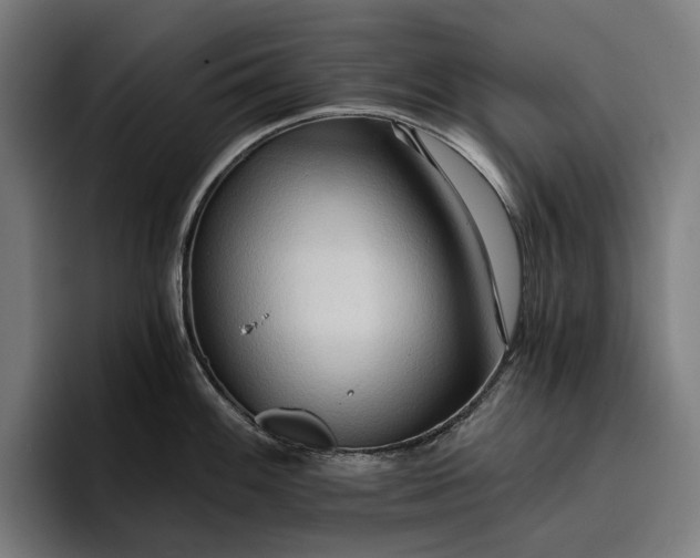 X0000096691100200802191423