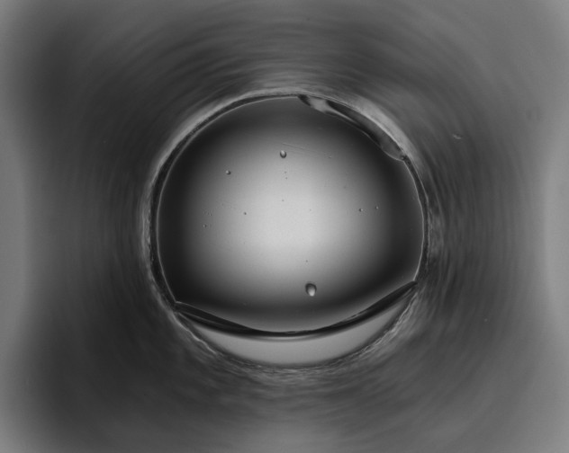 X0000096691101200802191423