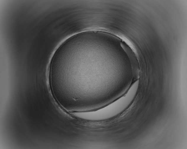 X0000096691102200802191423