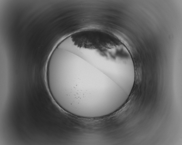 X0000096691103200802191423