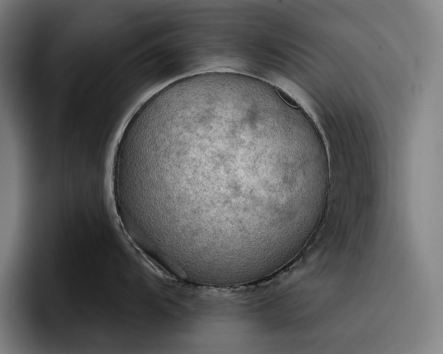 X0000096691104200802191423