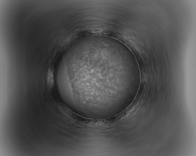 X0000096691106200802191422