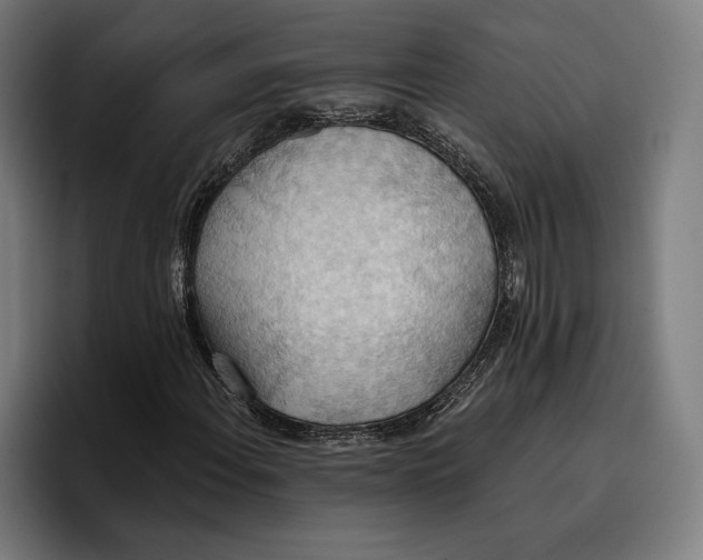 X0000096691108200802191422