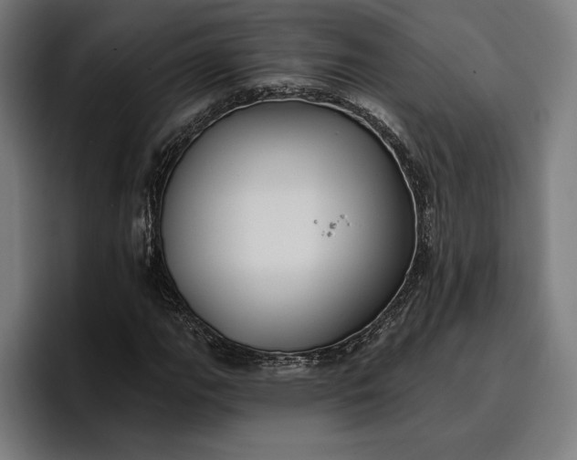 X0000096691111200802191422