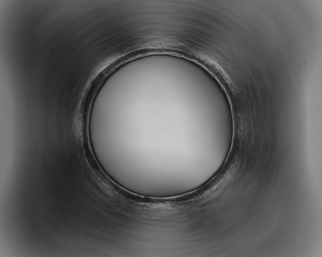 X0000096691114200802191422