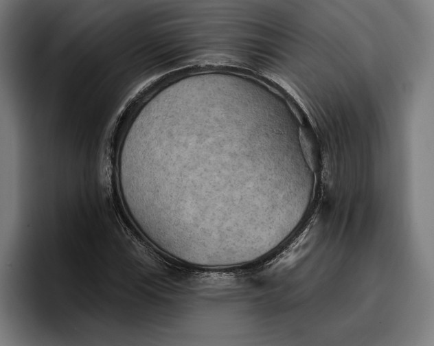 X0000096691115200802191422