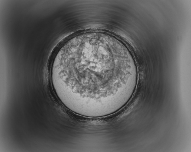 X0000096691117200802191422