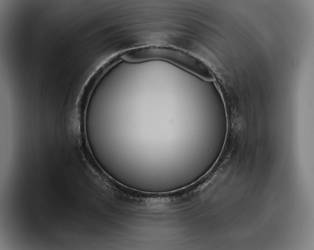 X0000096691118200802191422