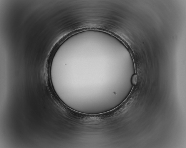 X0000096691119200802191422