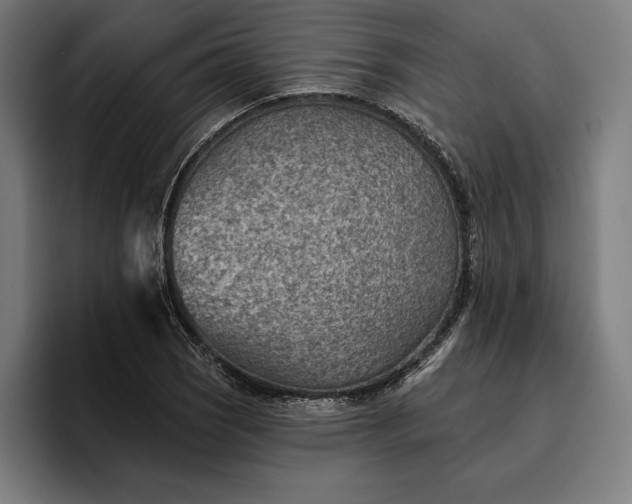 X0000096691121200802191422