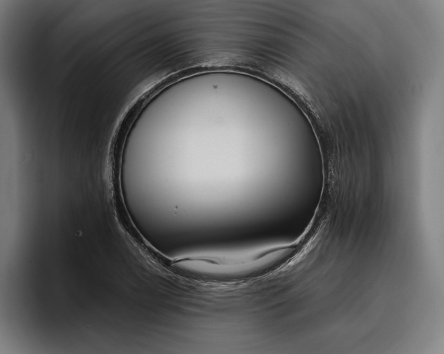 X0000096691122200802191422