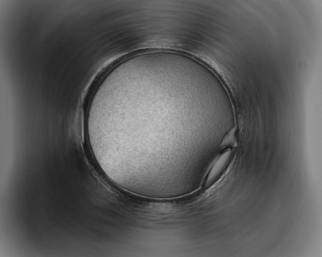 X0000096691123200802191422