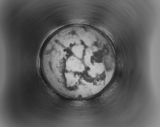 X0000096691125200802191422