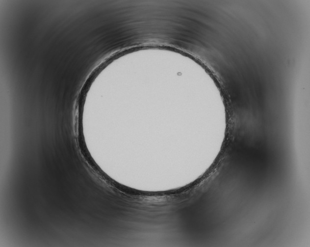 X0000096691126200802191422