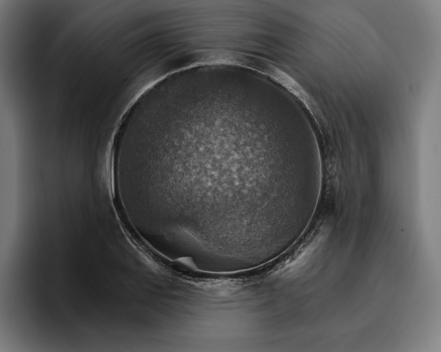 X0000096691127200802191422