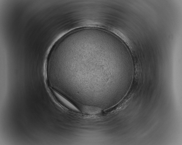 X0000096691128200802191422