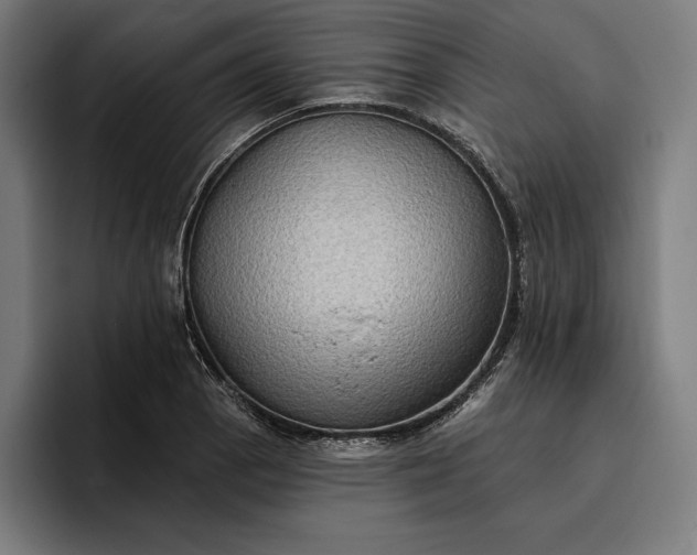 X0000096691129200802191422