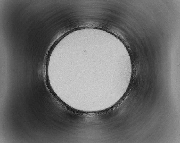 X0000096691130200802191422