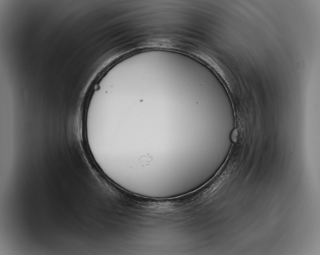 X0000096691131200802191422