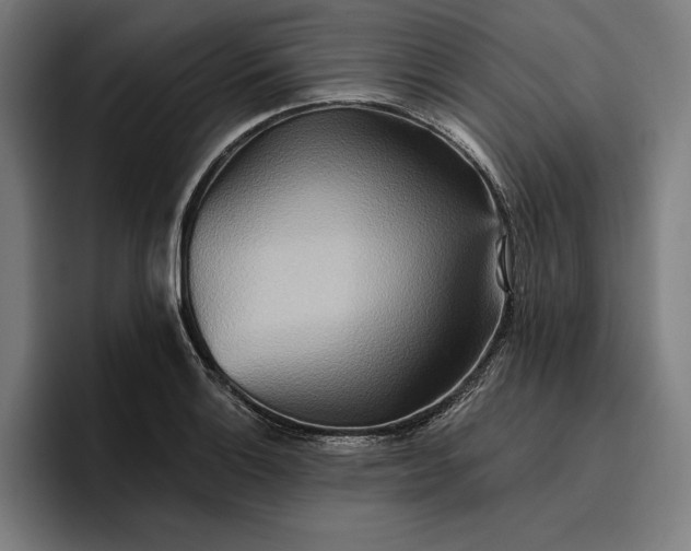 X0000096691132200802191423