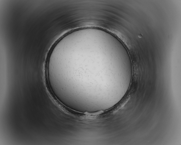 X0000096691134200802191423