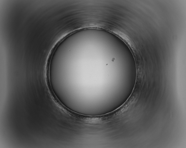 X0000096691135200802191423