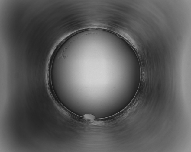 X0000096691136200802191423