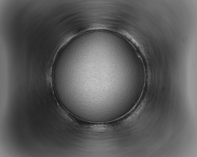 X0000096691137200802191423