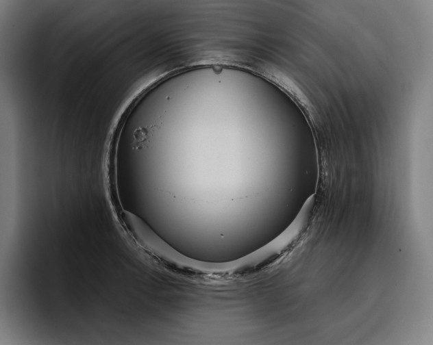 X0000096691138200802191423