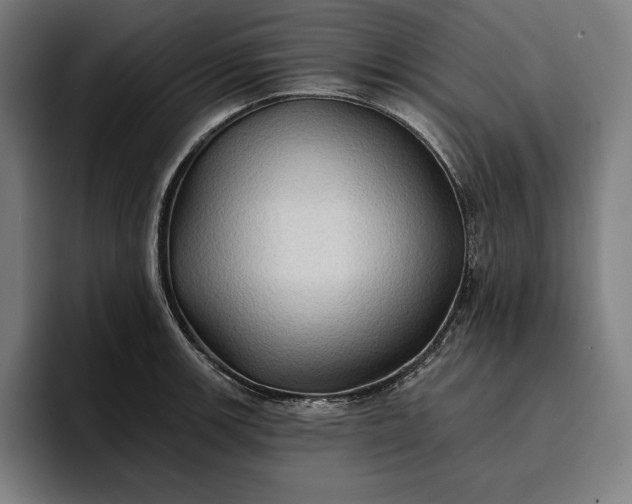 X0000096691139200802191423